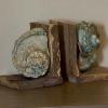 Lowcountry Suite bookends: Live Oak and green Turbo Marmoratus shells.